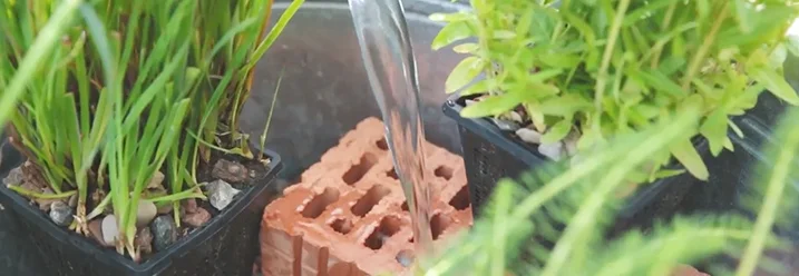 Wasser wird in einen Mini-Teich gegossen